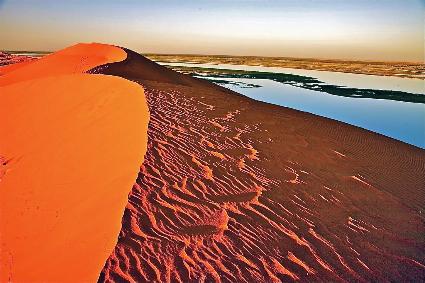 Dune de sable orangé aux ondulations dessinées par le vent, au bord d'une étendue d'eau